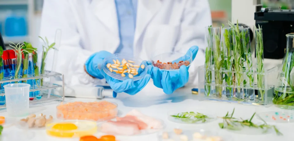 Allergen detection testing in food laboratory