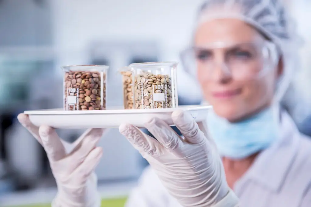 Mycotoxin screening in food samples