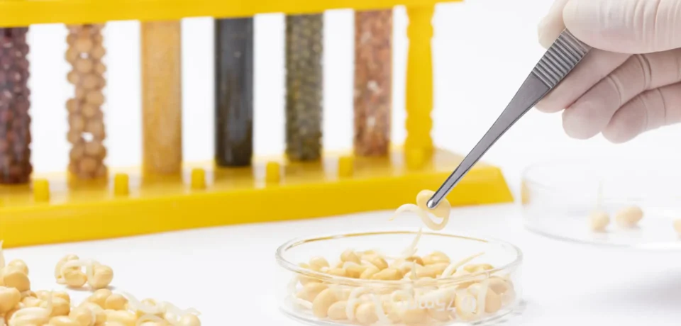 Basic chemical analysis laboratory testing